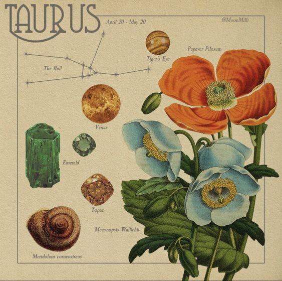 Tử vi 12 cung hoàng đạo Chủ nhật ngày 23/1/2022: Tài chính bấp bênh!-1