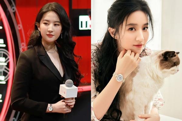 Căn bệnh khiến Lưu Diệc Phi chịu nhiều đau đớn suốt hơn 10 năm-4