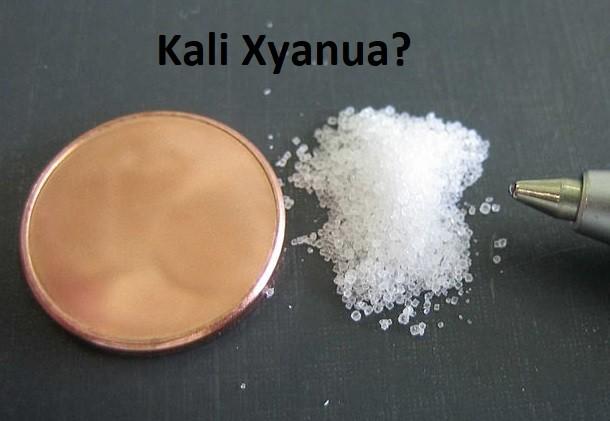 Nữ sinh đầu độc cha ruột: Người bán xyanua liên đới thế nào?-2