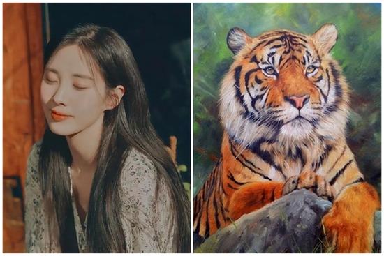 Tử vi tuần mới 12 con giáp từ 24/1/2022 - 30/1/2022: Ai hãm hại Dần?