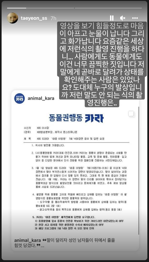 Nghệ sĩ Hàn bức xúc khi chú ngựa bị chết trong bom tấn cổ trang-6