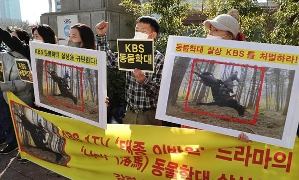 Nghệ sĩ Hàn bức xúc khi chú ngựa bị chết trong bom tấn cổ trang-7