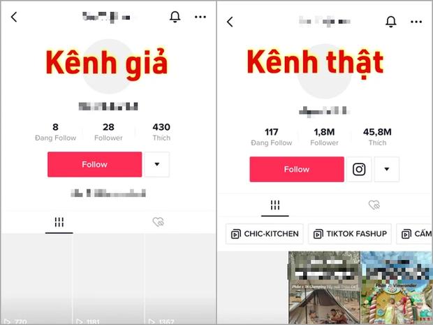 Thực hư TikToker 1,8 triệu follow lên tiếng bênh bồ-2
