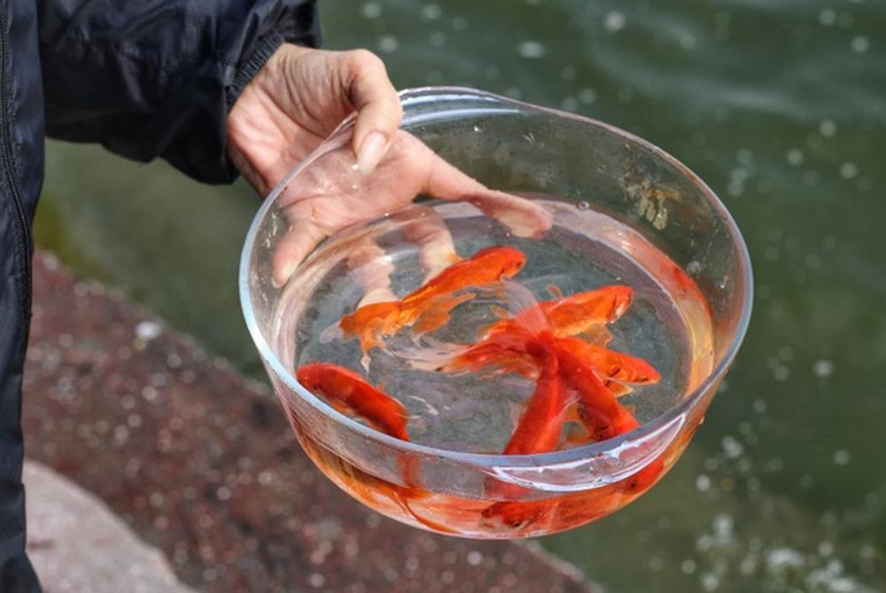 5 kiêng kị khi cúng ông Công ông Táo nếu không muốn bất kính-2