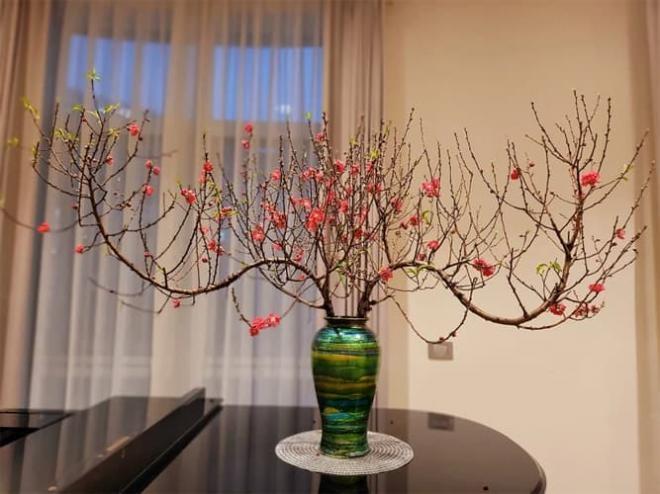 Những điều đặc biệt tối kỵ khi chơi hoa, cây cảnh ngày Tết-1