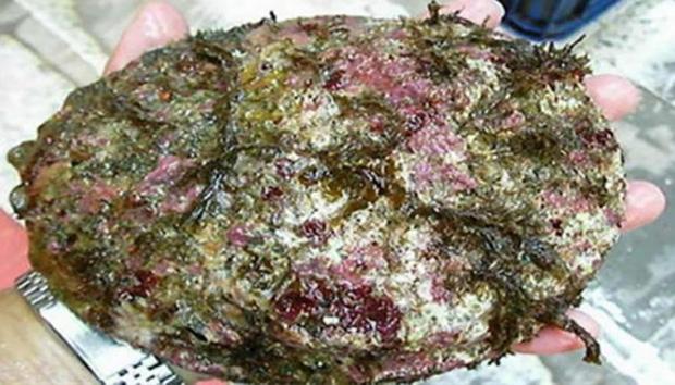 Nhờ thứ bên trong hòn đá rong rêu, cô gái khiến cả nhà đổi đời-1