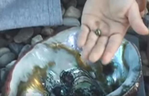 Nhờ thứ bên trong hòn đá rong rêu, cô gái khiến cả nhà đổi đời-2