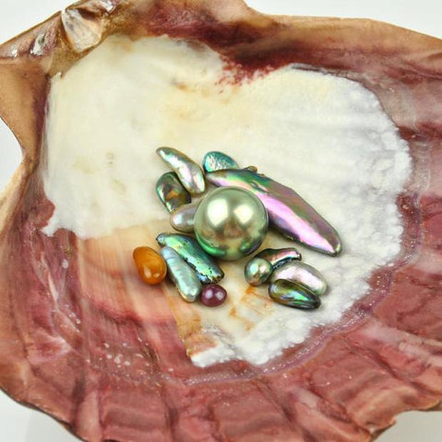 Nhờ thứ bên trong hòn đá rong rêu, cô gái khiến cả nhà đổi đời-3