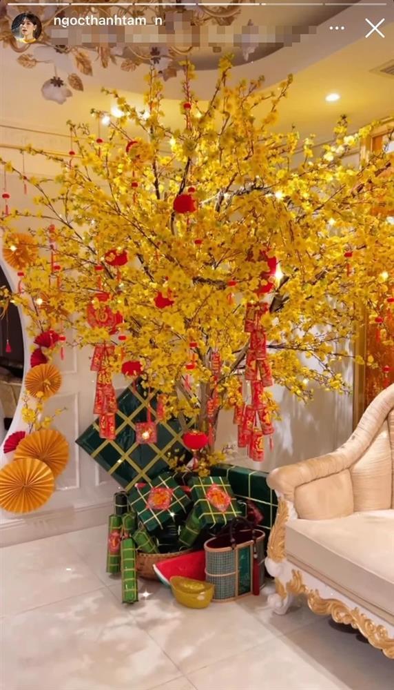 Đã mắt căn hộ đón Tết của ái nữ đại gia thủy sản-2