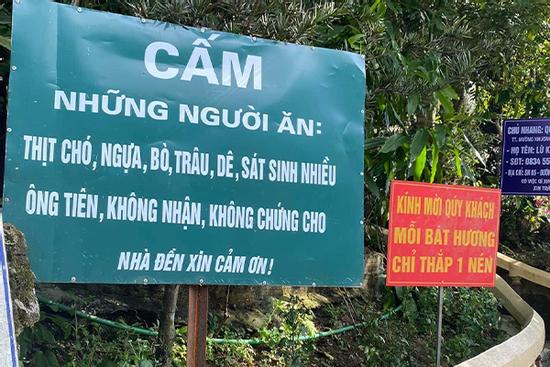 Tranh cái bảng cấm 'sát sinh nhiều ông Tiên' của ngôi đền ở Lào Cai