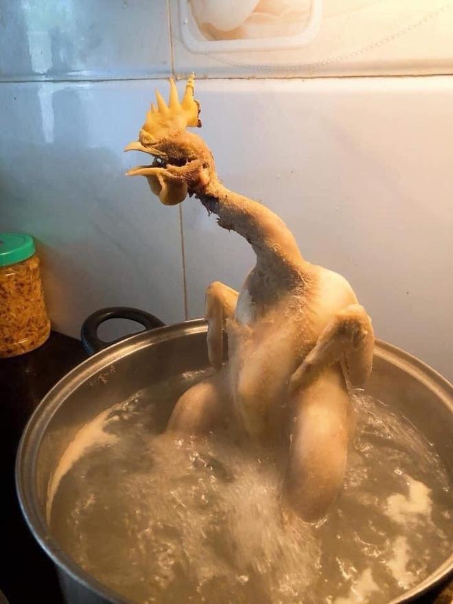 6 sai lầm cơ bản khi luộc gà khiến món ăn trở thành thảm họa-5