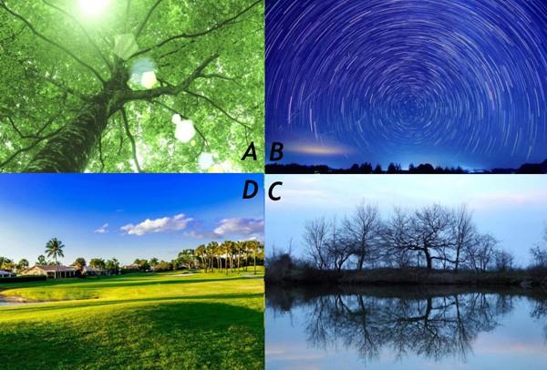 Trắc nghiệm: Bức tranh yêu thích tiết lộ màu sắc may mắn của bạn-1