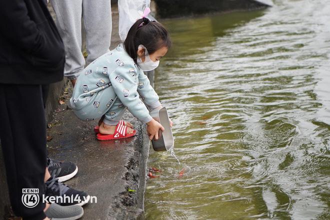 Hà Nội: Người dân thả cá chép, thả luôn bát hương lẫn bàn thờ-11