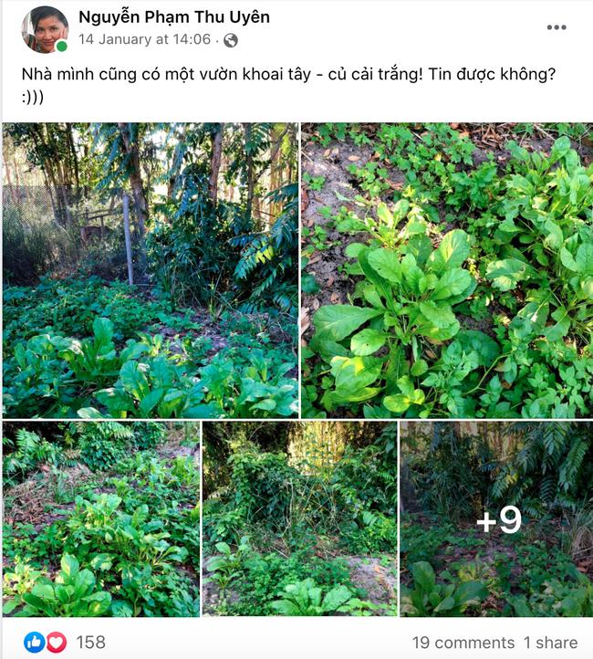 Cuộc sống BTV Thu Uyên sau thời gian vắng mặt màn ảnh VTV-4