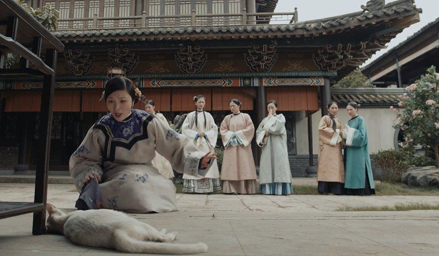 Ba người bị bắt vì tung tin đoàn phim ngược đãi động vật-2