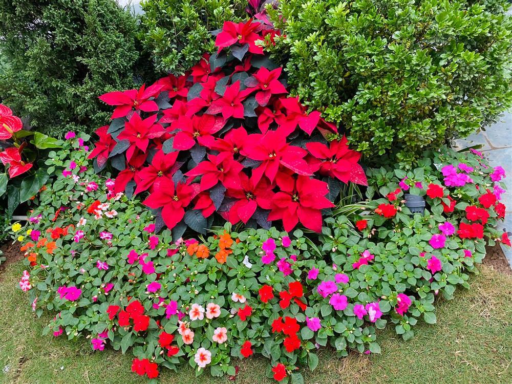 Không khí đón Tết trong biệt thự bạc tỷ của Hằng Túi-8