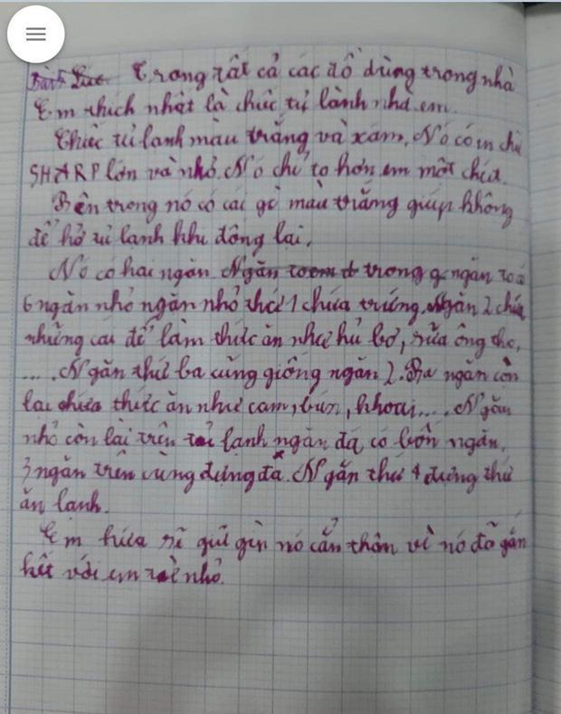 Bài văn miêu tả tủ lạnh chân thật đến từng chi tiết gây hài-1