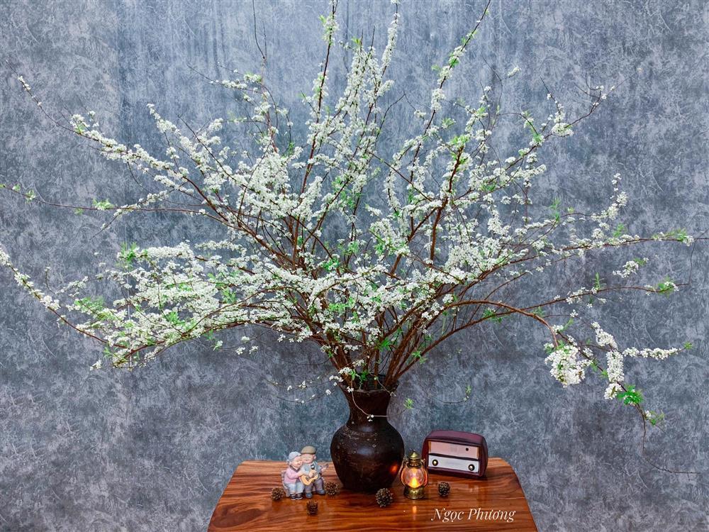 Chiêu cắm tuyết mai dễ ợt, chơi Tết 20 ngày không rụng không cũ-2