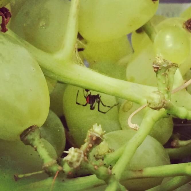 Đắng lòng với những con người gặp sự cố cười ra nước mắt-9