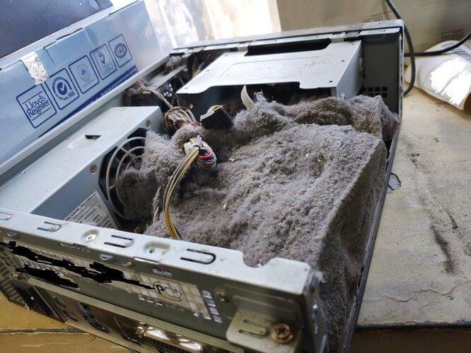 Đắng lòng với những con người gặp sự cố cười ra nước mắt-10