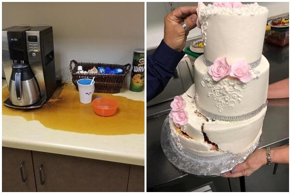 Nổi hứng chụp ảnh bên cây cảnh, 2 vợ chồng nhận cái kết dập bàn tọa-2