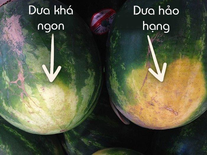 Cách chọn dưa hấu ngon, đẹp cho mâm ngũ quả cúng Tết-3
