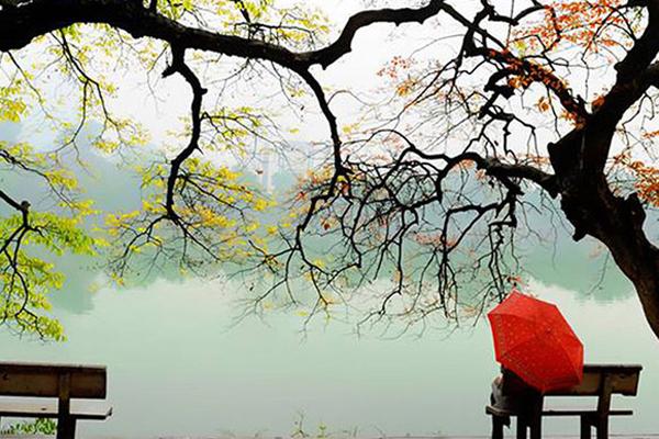 Bắc Bộ đón đợt rét đậm, rét hại từ đêm 29/1-1