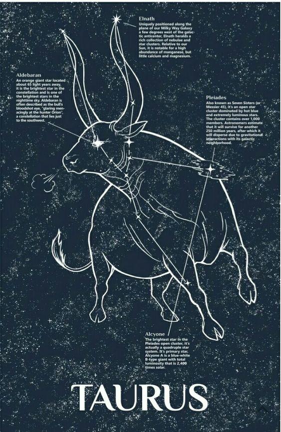 Tử vi 12 cung hoàng đạo thứ Sáu ngày 28/1/2022: Sự nghiệp lên hương!-1