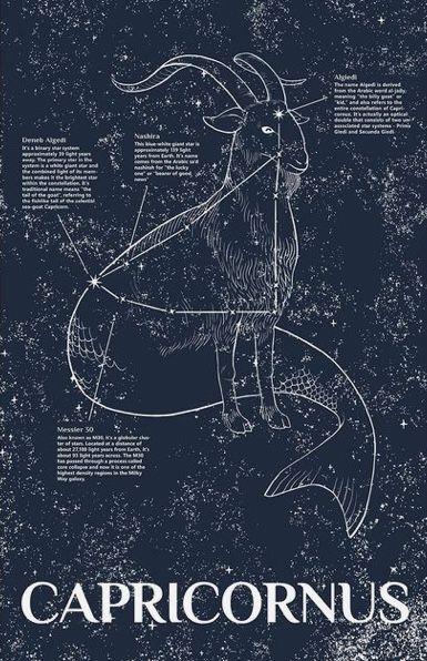 Tử vi 12 cung hoàng đạo thứ Sáu ngày 28/1/2022: Sự nghiệp lên hương!-2