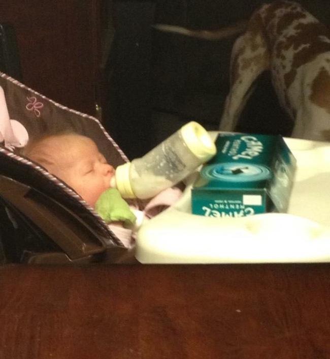 Làm trẻ con nói chung là cũng nhàn khi nhà có bố mẹ siêu phũ-11