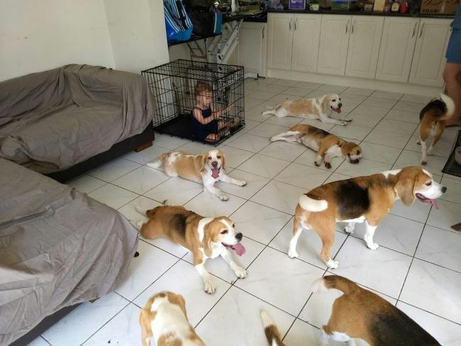 Làm trẻ con nói chung là cũng nhàn khi nhà có bố mẹ siêu phũ-9