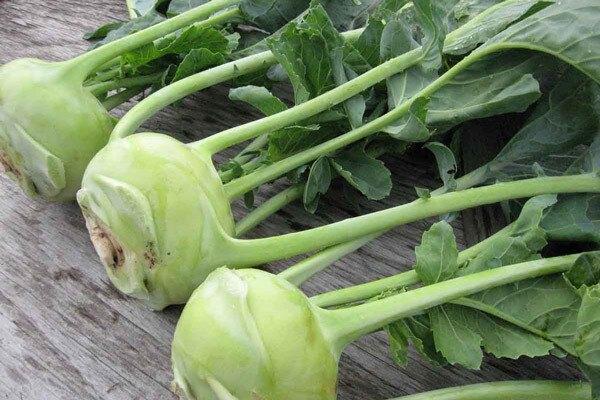 Su hào là thần dược mùa đông nhưng ăn cách này hại thân-2