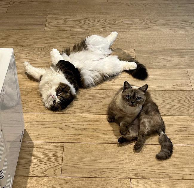 Mới cưới 5 ngày, Park Shin Hye chia sẻ về cuộc sống hôn nhân-1