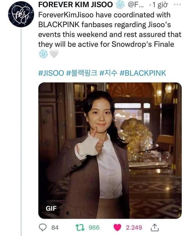 Jisoo vừa tung thính solo, loạt fanbase BLACKPINK tỏ ra ghét bỏ?-5