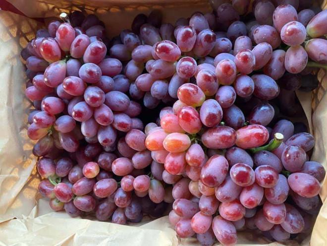 Mẹo bảo quản mâm ngũ quả tươi lâu không cần đến tủ lạnh-5