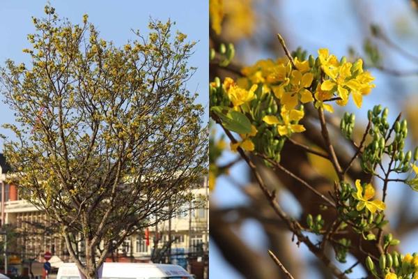 Du khách khóc thét vì chuyến đi bão tố Huế - Đà Nẵng mấy ngày qua!-10