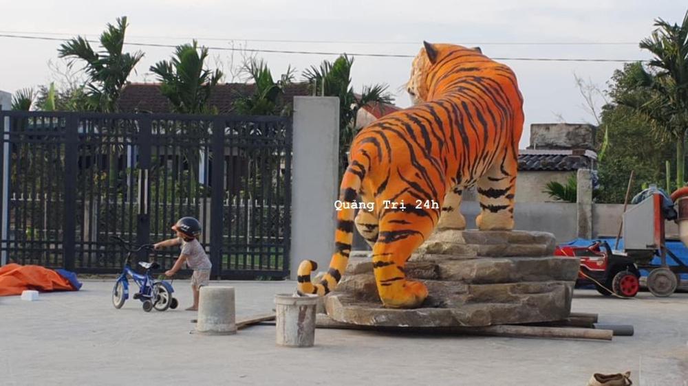 Tượng hổ Quảng Trị tranh ngôi vô địch, dân mạng khen nức nở-2