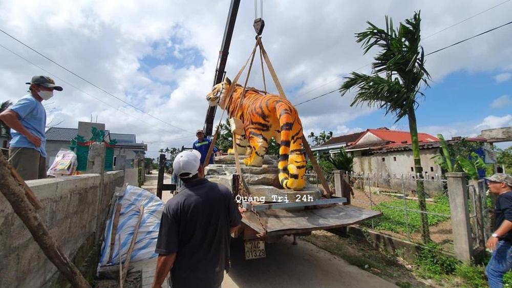 Tượng hổ Quảng Trị tranh ngôi vô địch, dân mạng khen nức nở-3