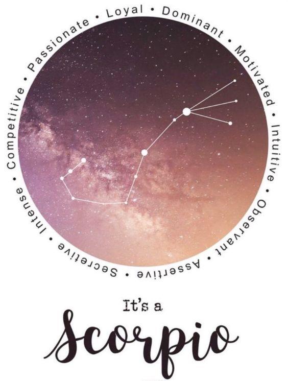 Tử vi tuần mới 12 cung hoàng đạo từ 31/1 đến 6/2/2022: Năm mới nở hoa-2