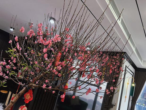 Phương Oanh khoe căn hộ bạc tỷ bỏ không vẫn trang trí hoành tráng-5