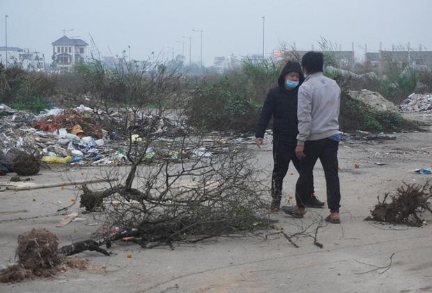 Giá quá thấp, thương lái chém bỏ đào giữa phố-6