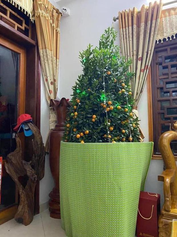 Cháu thăm nhà dịp Tết, ông hớt hải làm chuyện cả MXH cười bò-2