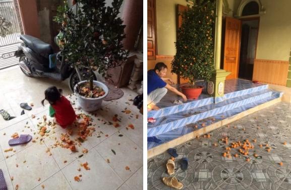 Cháu thăm nhà dịp Tết, ông hớt hải làm chuyện cả MXH cười bò-3