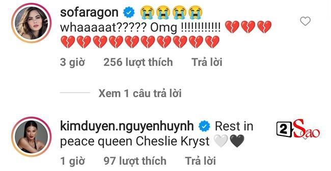 Dàn mỹ nhân thế giới bàng hoàng khi hoa hậu Mỹ tự tử-7