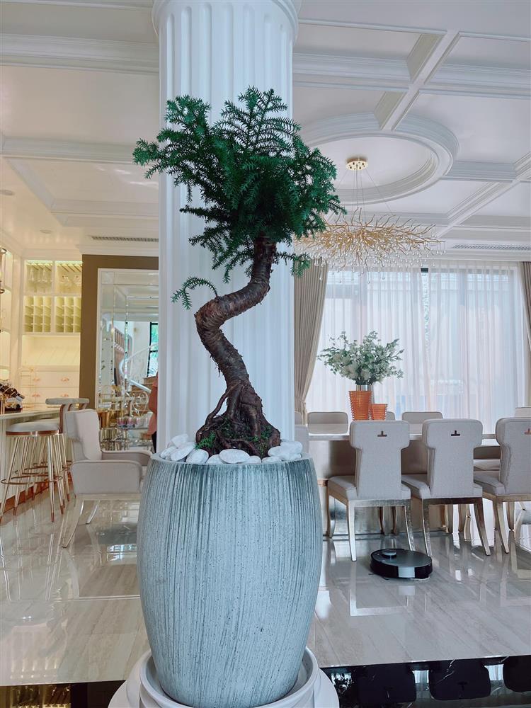 Những sao Việt xây được biệt thự hoành tráng giữa mùa dịch-9