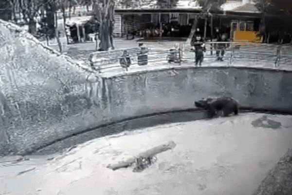 Nghi bị trầm cảm sau sinh, mẹ dùng dao sát hại con trai 2 tháng tuổi-2