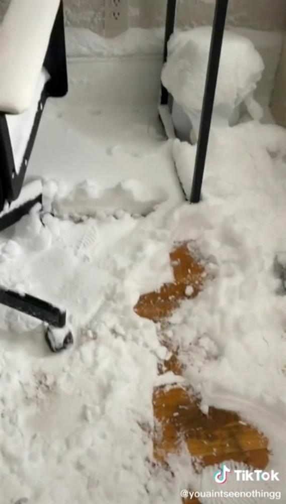 Đi chơi quên đóng cửa sổ, cô gái nhận cái kết dở khóc dở cười-3