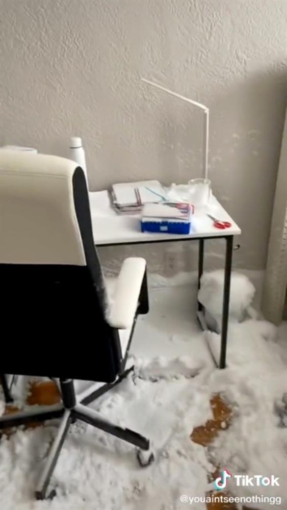 Đi chơi quên đóng cửa sổ, cô gái nhận cái kết dở khóc dở cười-5