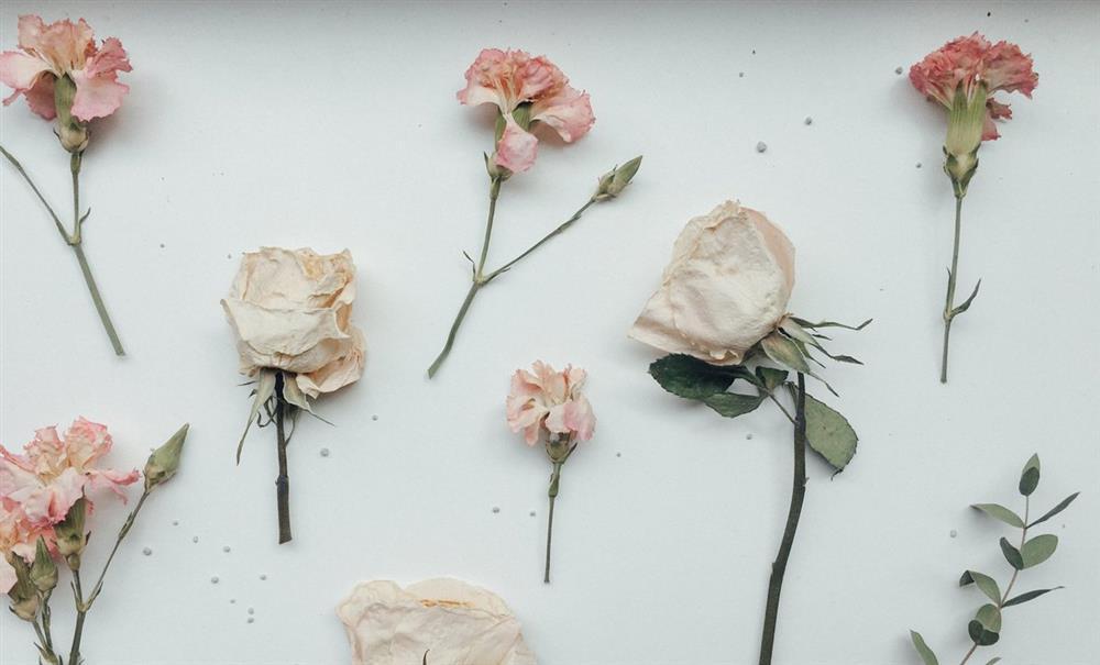 Bỏ 5 vật vào ví đầu năm để tài lộc dồi dào, công danh thuận lợi-4