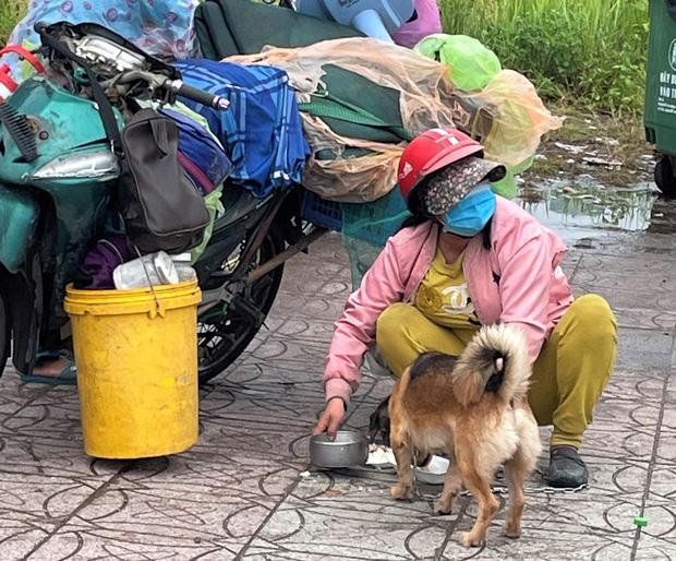 Chủ nhân 15 chú chó bị tiêu hủy đón Tết với 600 nghìn và đàn chó mới-1